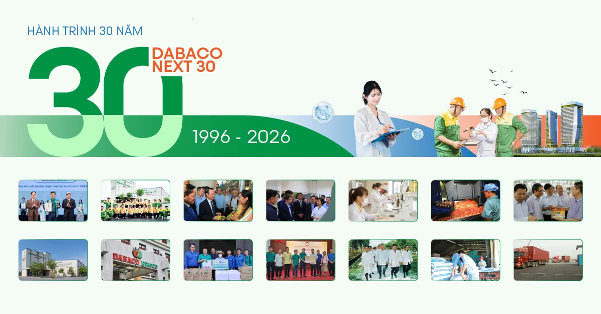 dabaco group