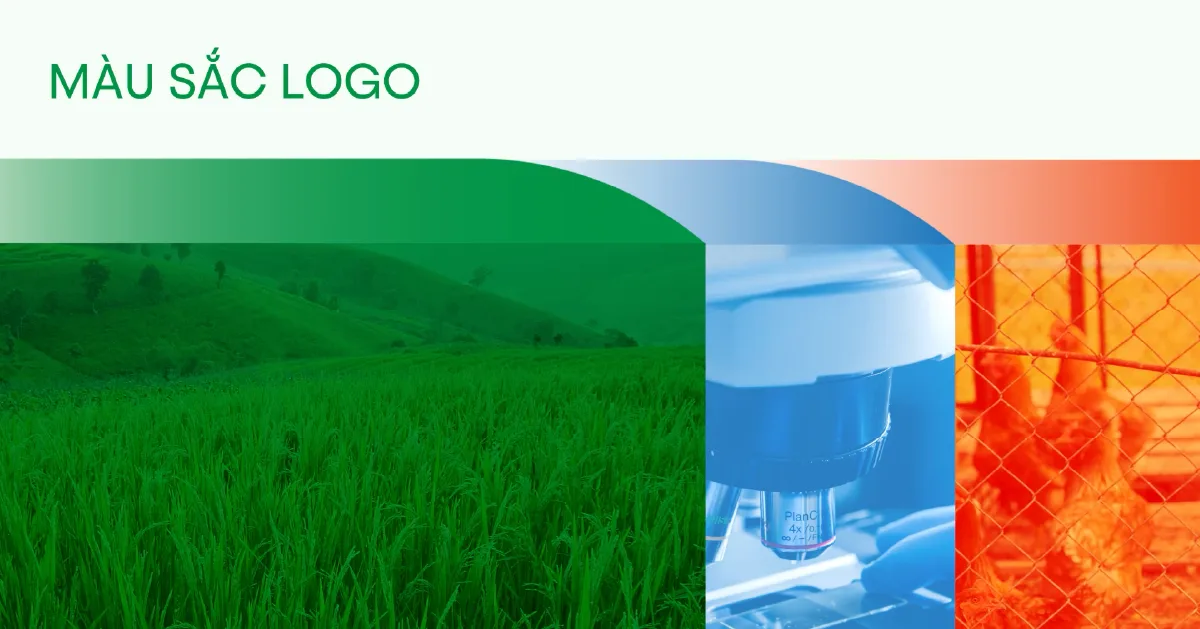 Màu sắc logo DABACO GROUP
