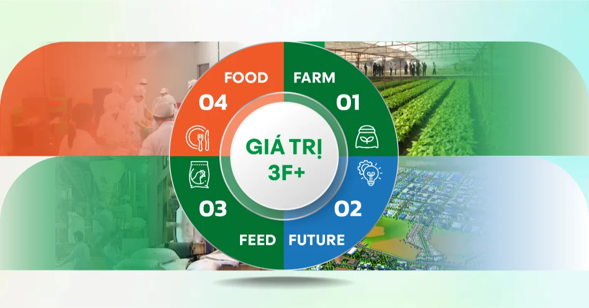 Chuỗi giá trị 3F+ DABACO Group